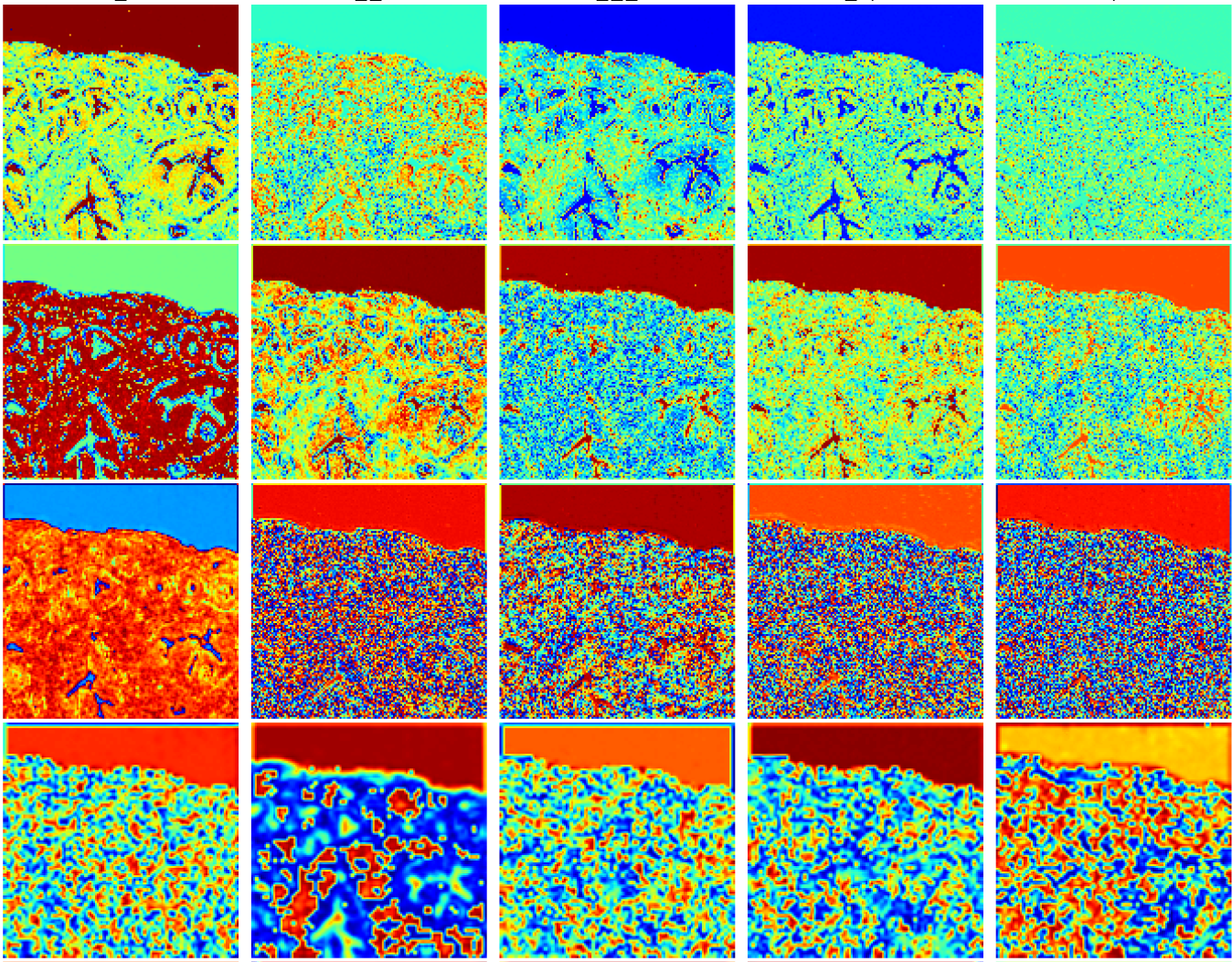Instructor, Computational Pathology: Digital Imaging and Clinical Decision Support